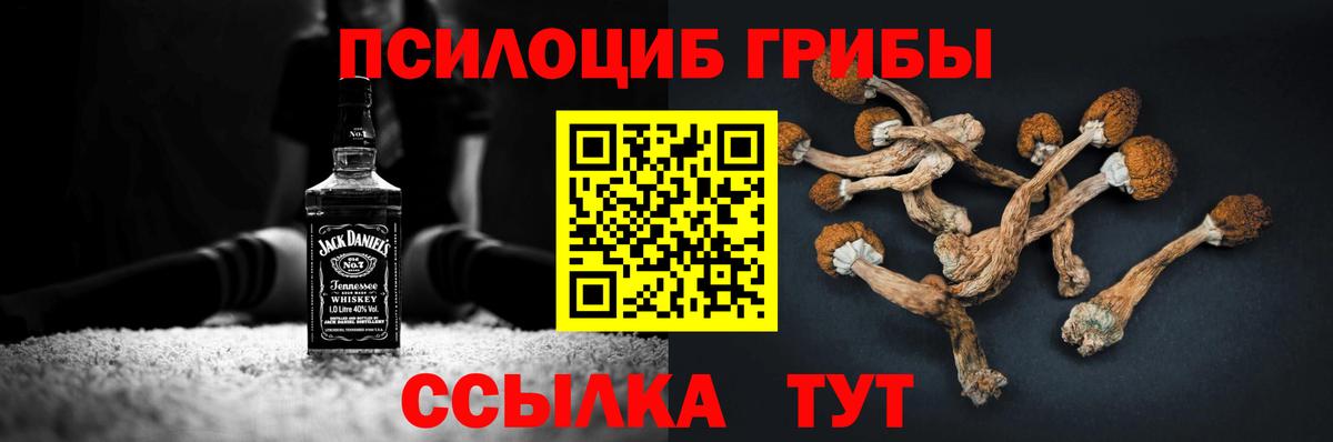 Псилоцибиновые грибы мицелий  Галлюциногенные грибы Psilocybine cubensis  Краснодар  Вход с VPN 